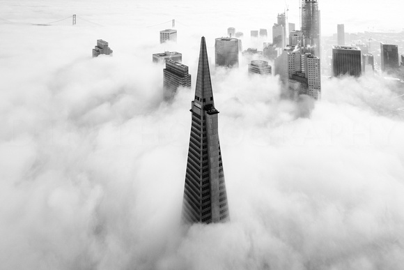 San Francisco 2017